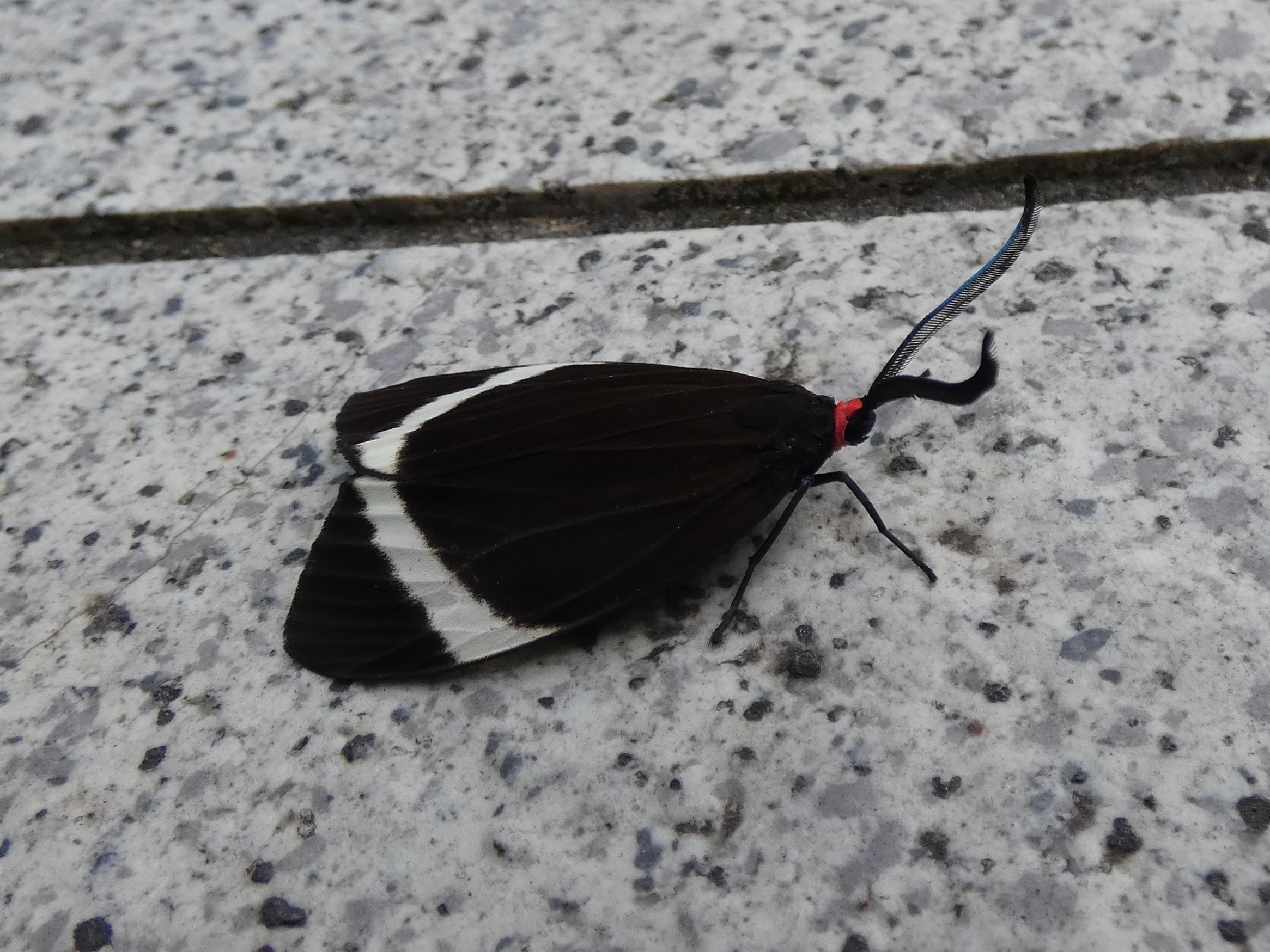 photo_2